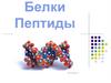 Белки. Пептиды