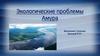 Экологические проблемы реки Амур