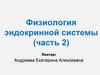 Физиология эндокринной системы (часть 2)