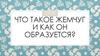 Что такое жемчуг и как он образуется?