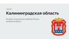 Калининградская область. История, значения для хозяйства России, интересные факты