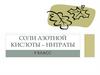 Соли азотной кислоты – нитраты. 9 класс