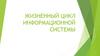 Жизненный цикл информационной системы