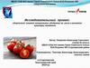Агрохимия: влияние минеральных удобрений на рост и развитие культуры томатов