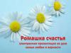 Ромашка счастья