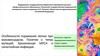 Особенности поражения легких при муковисцидозе. Понятие о типах мутаций. РСА и синегнойная инфекция
