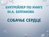 Буктрейлер по книге Булгакова