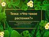 Что такое растения