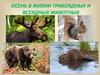 Осень в жизни травоядных и всеядных