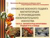 Магнитогорцы-фронтовики. Трудный путь к победе