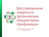 Восстановление энергии из органических отходов путем газификации
