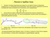 Линия и трубка тока