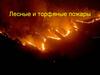 Лесные и торфяные пожары