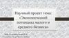 Экономический потенциал малого и среднего бизнеса