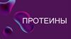 Протеины