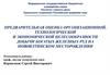 Предварительная оценка организационной, технологической и экономической целесообразности добычи богатых железных руд