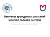 Патогенез врожденных аномалий женской половой системы