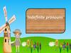 Indefinite pronouns