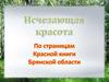 Исчезающая красота. Красная книга Брянской области