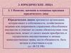 Юридические лица - субъекты гражданских правоотношений