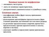 Базовые знания по морфологии