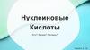 Нуклеиновые кислоты