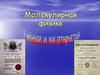 Молекулярная физика. Ученые и их открытия