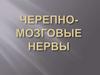 Черепно-мозговые нервы