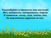 Разнообразен и прекрасен мир растений