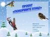 Проект по подкормке птиц зимой. Знакомство учащихся с зимующими птицами