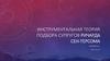 Инструментальная теория подбора супругов Ричарда Сен-Терсома