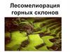 Лесомелиорация горных склонов