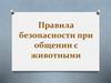 Правила безопасности при общении с животными