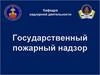 Взаимодействие органов ГПН с государственной властью, местным самоуправлением и организациями пожарной безопасности (Тема № 9)