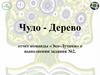 Чудо - Дерево