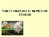 Многообразие и значение грибов