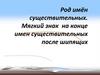 Род имён существительных. Мягкий знак на конце имен существительных после шипящих