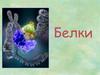 Белки и их свойства