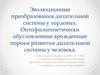 Эволюционные преобразования дыхательной системы у хордовых