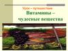 Витамины – чудесные вещества