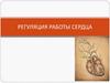 Регуляция работы сердца