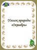 Уголок природы "Октябрь"