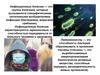 Инфекционные болезни