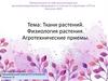 Ткани растений. Физиология растения. Агротехнические приемы