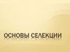Основы селекции