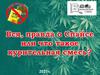 Вся правда о Спайсе или что такое курительная смесь