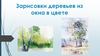 Зарисовки деревьев из окна в цвете
