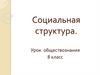 Социальная структура