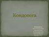Кондопога. Первое упоминание о поселении на месте современного города