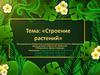 Строение растений